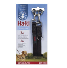 Load image into Gallery viewer, Halti Training Lead